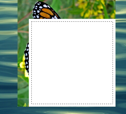  hiệu ứng text trong Photoshop Butterfly05