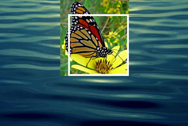  hiệu ứng text trong Photoshop Butterfly06
