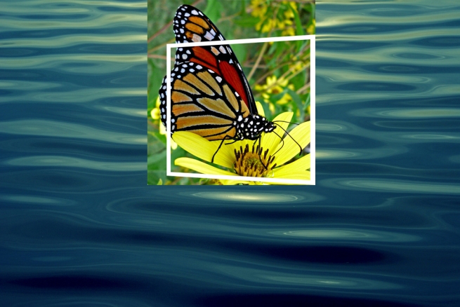  hiệu ứng text trong Photoshop Butterfly07