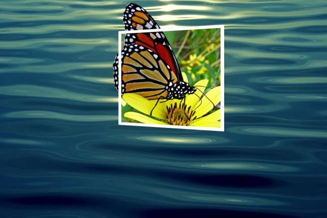  hiệu ứng text trong Photoshop Butterfly08