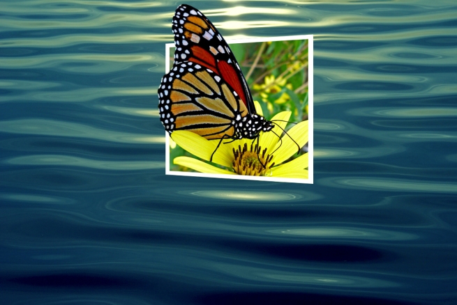  hiệu ứng text trong Photoshop Butterfly09