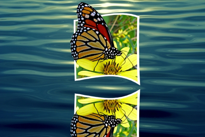  hiệu ứng text trong Photoshop Butterfly11