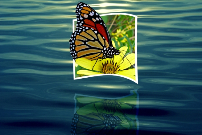  hiệu ứng text trong Photoshop Butterfly13