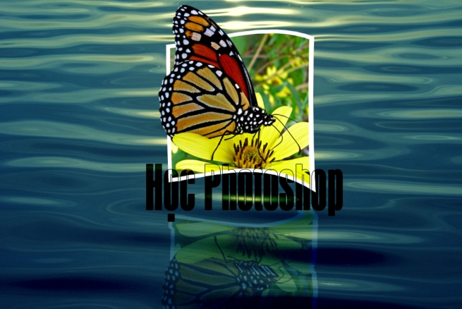  hiệu ứng text trong Photoshop Butterfly14
